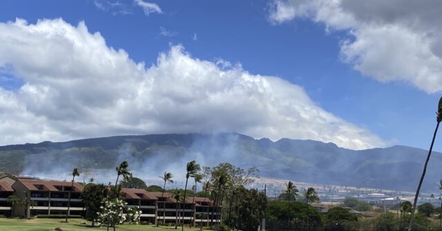 Firefighters Douse Maui Brush Fire That Prompted Evacuations Near Site ...