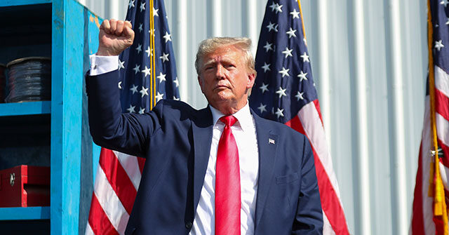 GOP Committees Demand Minnesota Court Keep Trump on 2024 Ballot