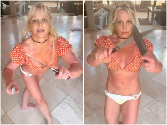 Britney Spears Addresses Viral Knife Video After Police Wellness Check: ‘These Knives are Fake’