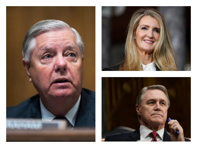 A Georgia grand jury recommended charges against Republican Sens. Lindsey Graham (R-SC), D