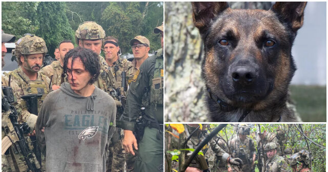 PHOTOS -- K-9 'Yoda' Nabs Escaped Murderer Danelo Cavalcante in Pennsylvania