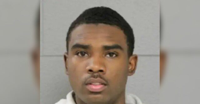 Chicago Man Accused of Shooting Neighbor's Dog Is Released with Curfew