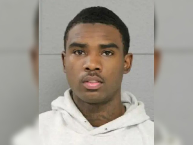 Chicago Man Accused of Shooting Neighbor's Dog Is Released with Curfew - Vimarsana News