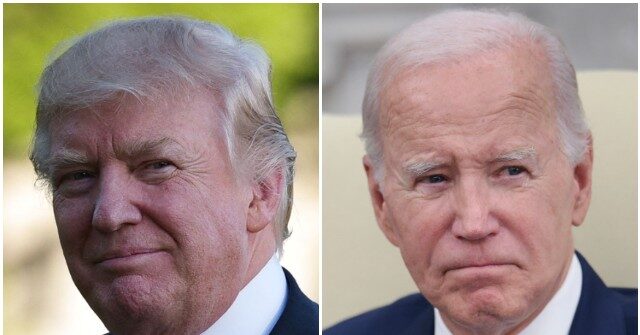 Morning Consult Poll: Trump More Popular than Biden for 10 Straight Weeks