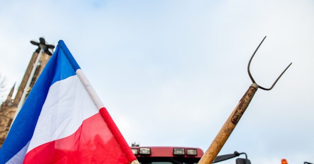Dutch Farmer Party Calls for Asylum Cap and Green Agenda Opt-Out