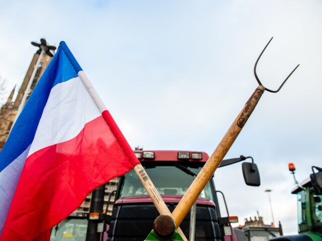 A tractor is decorated with a Dutch flag and a field tool during one of the farmer protest