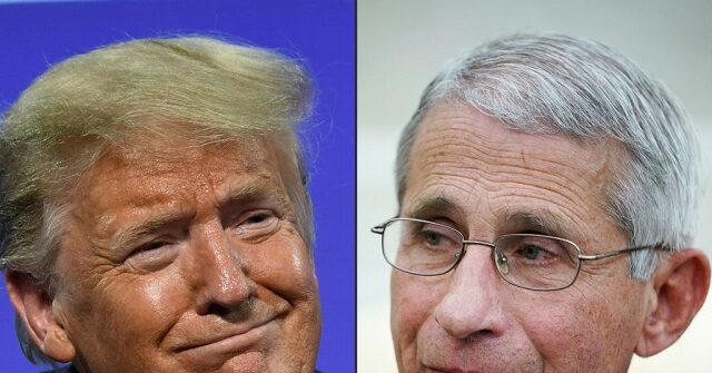 Trump: 'I Don't Know who' Gave Fauci a Presidential Commendation During My Presidency