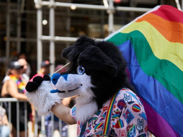 A person in a furry canine costume carries a rainbow pride flag during the NYC Pride March in New York, US, on Sunday, June 25, 2023. New York City's annual Pride March commemorates the 1969 uprising by members of the LGBTQ community at the Stonewall Inn in Greenwich Village. Photographer: …