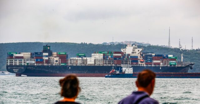 Ukrainian Port Bombarded in Drone Attack Ahead of Grain Deal Talks