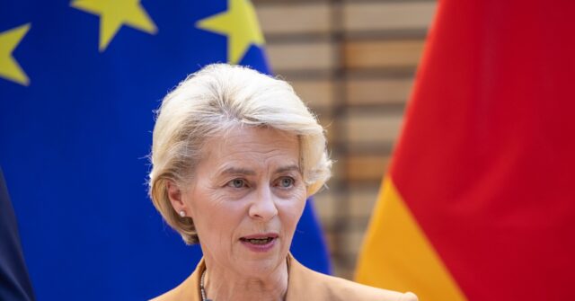 EU Chief Calls for Global Digital IDs and New U.N. Body to Govern AI