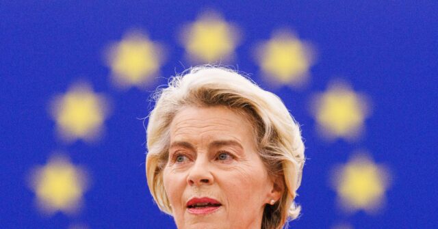 'Call of History' -- EU Chief Wants Ukraine to Join Bloc