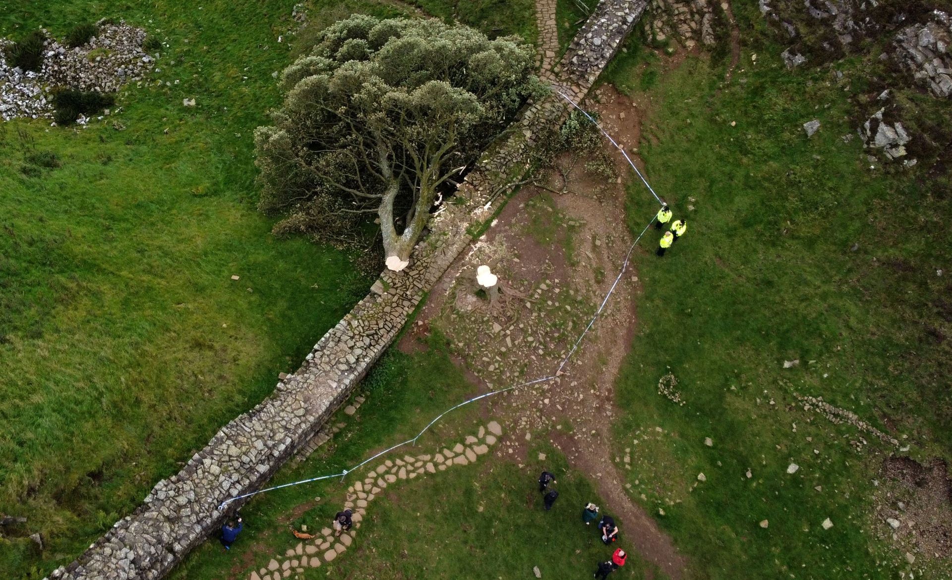 An aerial view shows the felled Sycamore Gap tree, along Hadrian's Wall, near Hexham, northern England on September 28, 2023. One of the UK's most photographed trees, located next to the Roman-era Hadrian's Wall in northeast England, has been "deliberately felled," the authority responsible for the local National Park said on September 28, 2023. Local police said that a teenager had been arrested in connection with the incident. (Photo by Oli SCARFF / AFP) (Photo by OLI SCARFF/AFP via Getty Images)