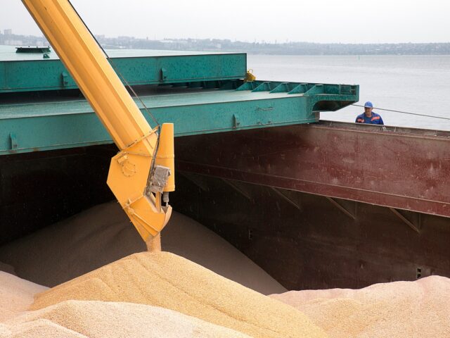 A dockworker watches as barley grain is mechanically loaded onto a barge for export from the Nibulon Ltd. facility at Nikolaev commercial port in Nikolaev, Ukraine, on Tuesday, July 2, 2013. Egypt, the world's biggest wheat importer, bought 180,000 metric tons of Ukrainian and Romanian grain yesterday in its first …