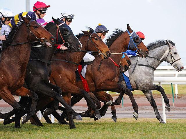 Horses jump out of the starting gates in the Banjo Paterson Series Final during Melbourne