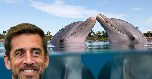 Aaron Rodgers to Use Sound of Dolphins' 'Lovemaking' to Heal Achilles Tendon
