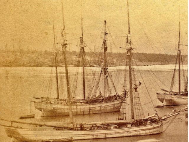 Shipwreck from 1881 Discovered Nearly Intact in Lake Michigan - Vimarsana News