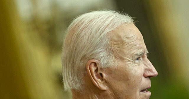 Poll: Most Say Joe Biden Is Too Old to Run for President, Not Mentally Up for the Job