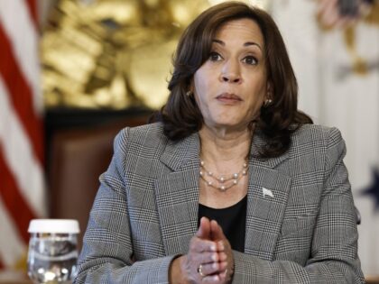 U.S. Vice President Kamala Harris speaks during a meeting on Artificial Intelligence in her ceremonial office in the Eisenhower Executive Office Building on July 12, 2023 in Washington, DC. Harris hosted the meeting to discuss AI with civil rights leaders and consumer protection experts. (Anna Moneymaker/Getty)