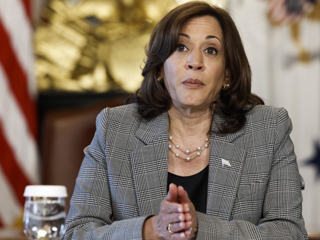 Kamala Harris Becomes Gun Control 'Czar' After Repeated Failures - Vimarsana News