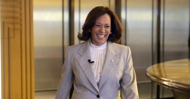 Kamala Harris: All VPs Know They 'May Have to Take Over' Role of President