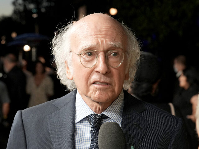 Larry David Confronted Elon Musk over His GOP Support: 'You Just Want ...