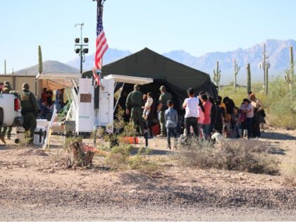 Nearly 300 Migrants are sheltered from the sun and guarded by Border Patrol agents near Lukeville, Arizona. (Randy Clark/Breitbart Texas)