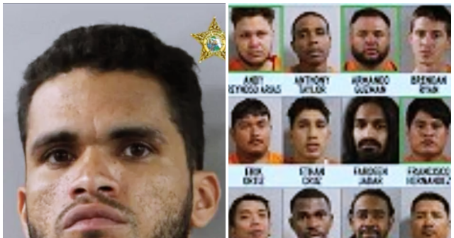 Florida: 35 Illegal Aliens Among 219 Arrested in Human Trafficking Sting