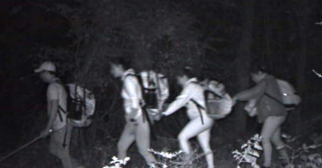Exclusive: New Hampshire's Kelly Ayotte Sounds Alarm as More Illegal Aliens Caught at Northeast Border Than Prior 10 Years Combined