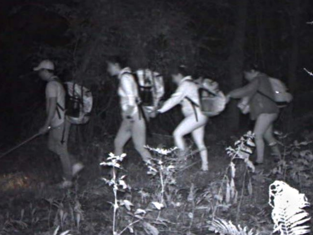 Exclusive: New Hampshire's Kelly Ayotte Sounds Alarm as More Illegal Aliens Caught at Northeast Border Than Prior 10 Years Combined - Vimarsana News