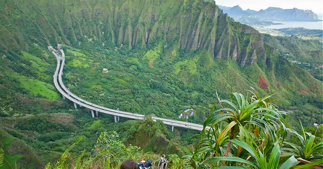 Woman and Dog Rescued from 'Stairway to Heaven' Trail in Hawaii