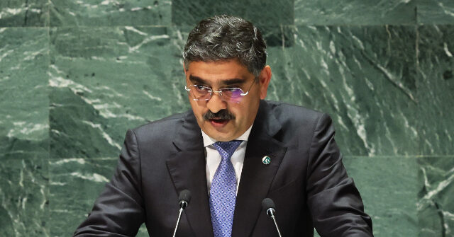 Pakistan Demands Global 'Accountability Process to Punish' Islamophobia