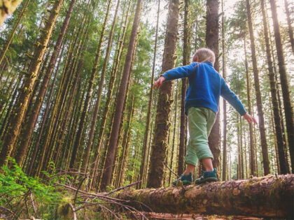 Low angle view of a boy walking across a tree trunk - stock photo