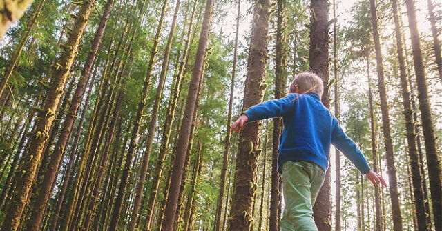 Michigan Toddler Found Safe Three Miles Down Wooded Trail