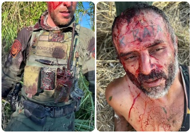 Alleged Cartel Informer Brutally Assaults, Bites Border Patrol Agent in Texas - Vimarsana News