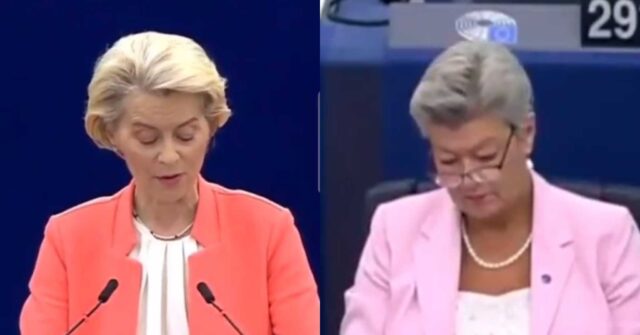 'Bored to Death': Commissioner Does Her Knitting at Major EU Speech