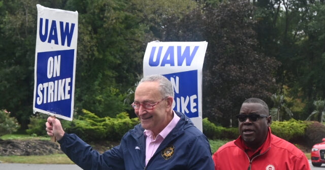 Chuck Schumer Strikes Alongside United Auto Workers