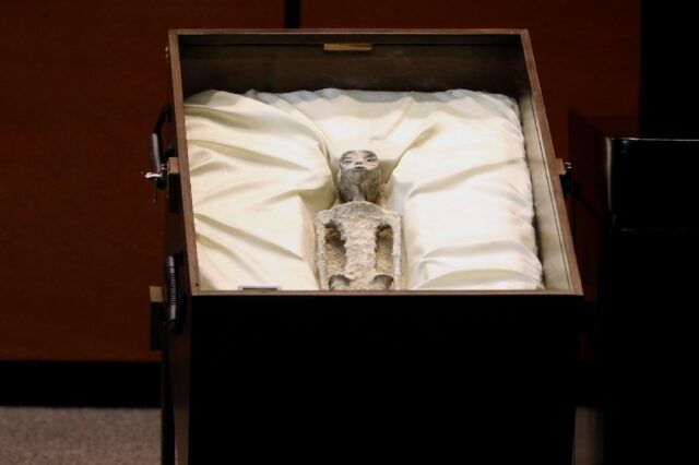 An image released by Mexico's Congress shows the alleged body of a 'non-human' presented d