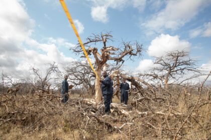 Cash-strapped African nations want a much bigger share of a $2-billion carbon credits mark