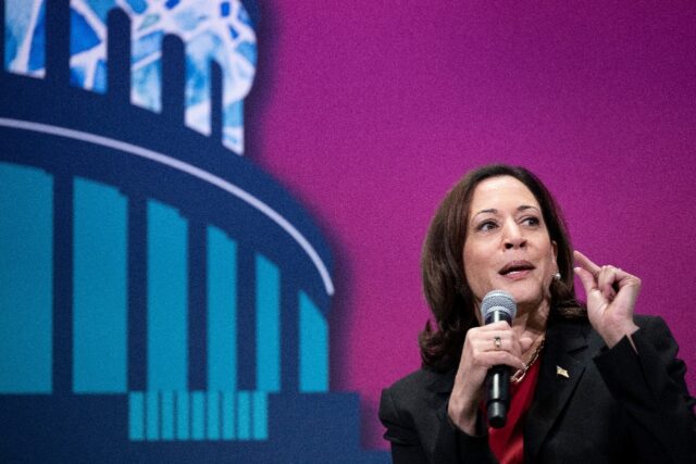 US Vice President Kamala Harris has been tasked with tackling gun violence in the US