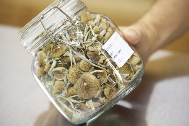 Thousands sign up to experience magic mushrooms as Oregon's novel ...