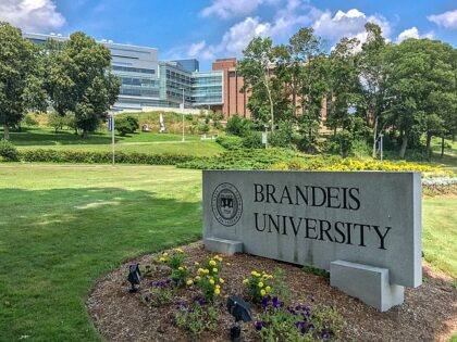 Brandeis University (Wikimedia Commons)