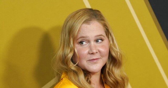 Amy Schumer Mocks Left's Call for 'Ceasefire' In Israel-Hamas War: 'Mind if We Get the Babies Back?'