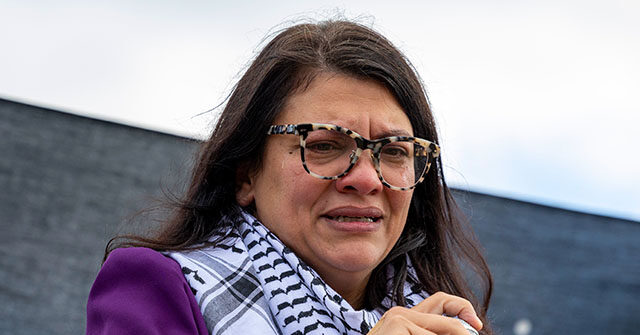 Moskowitz: I'd Support Censuring Tlaib, Redefining 'From the River to the Sea' Like Saying 'Mein Kampf' a Coloring Book