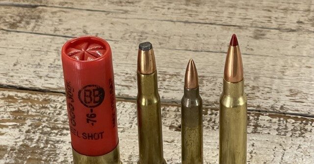 Firearms and Ammo for the 2023 Fall Hunting Season