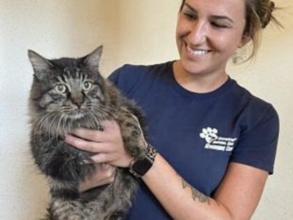 WATCH — ‘Never Give Up Hope’: California Cat Reunites with Family 12 Years After Goi