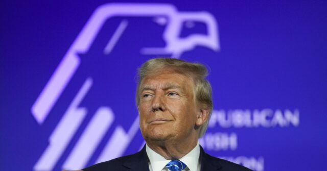 Donald Trump to Republican Jewish Coalition: 'Biden's Weakness Caused the Attack on Israel'