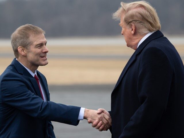 US President Donald Trump shakes hands with US Representative Jim Jordan, Republican of Oh