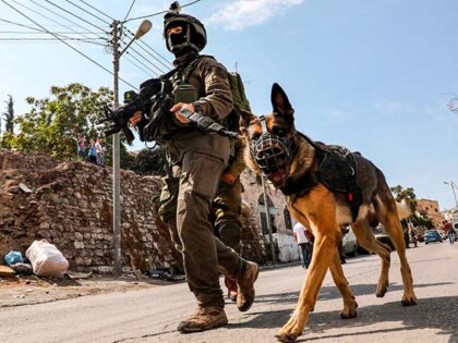 IDF dogs