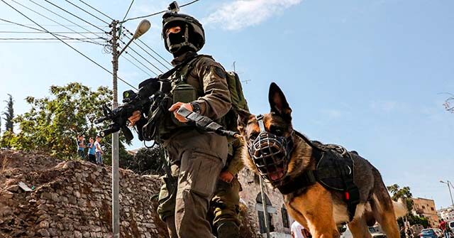 Officials: Israeli K-9 Unit Rescues over 200 While Battling Hamas Terrorists