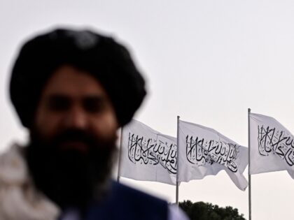 A Taliban fighter is pictured against the backdrop of Taliban flags installed at the Hamid